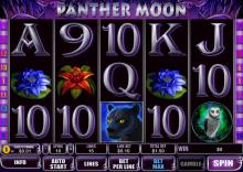 Описание слота Panther Moon в казино Вулкан Платинум