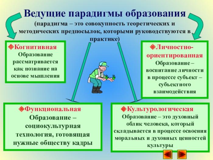 Как образовательные фильмы формируют новую парадигму обучения