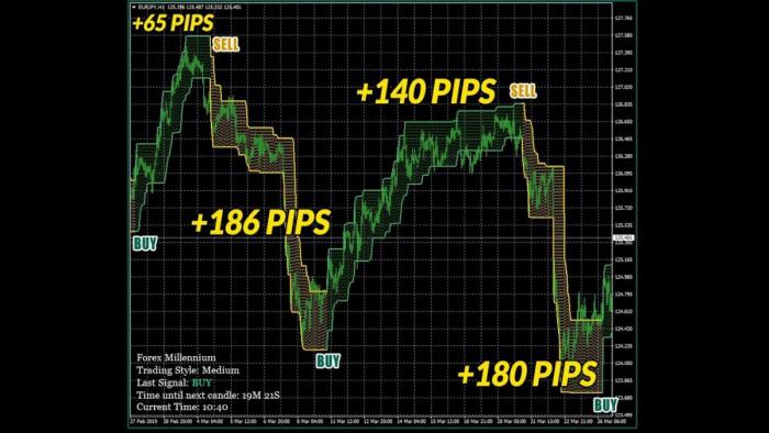 Обзор и отзыв о Millennium Trading — первое впечатление и торговые условия