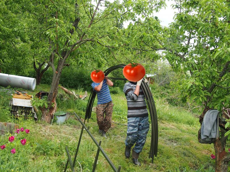 Установка теплицы из поликарбоната