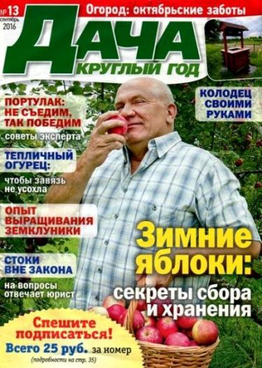 Онлайн журналы про дачу - плюсы