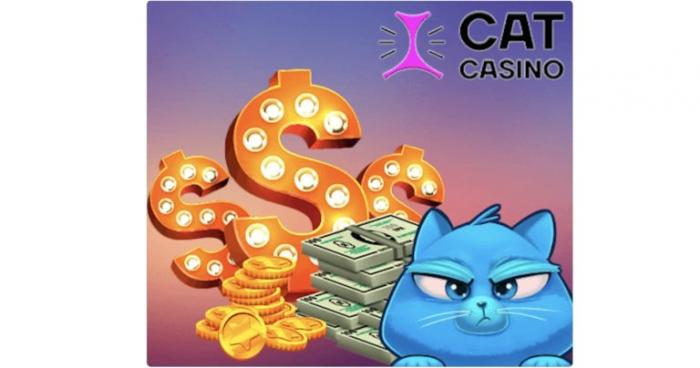  Особенности cat casino
